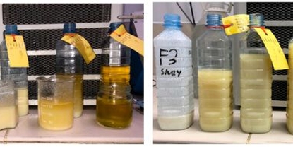 Turbimax CUS50D solid fat content in crystalliser